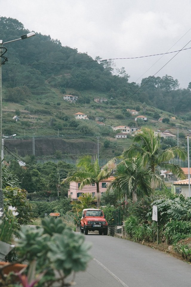 Negril Area